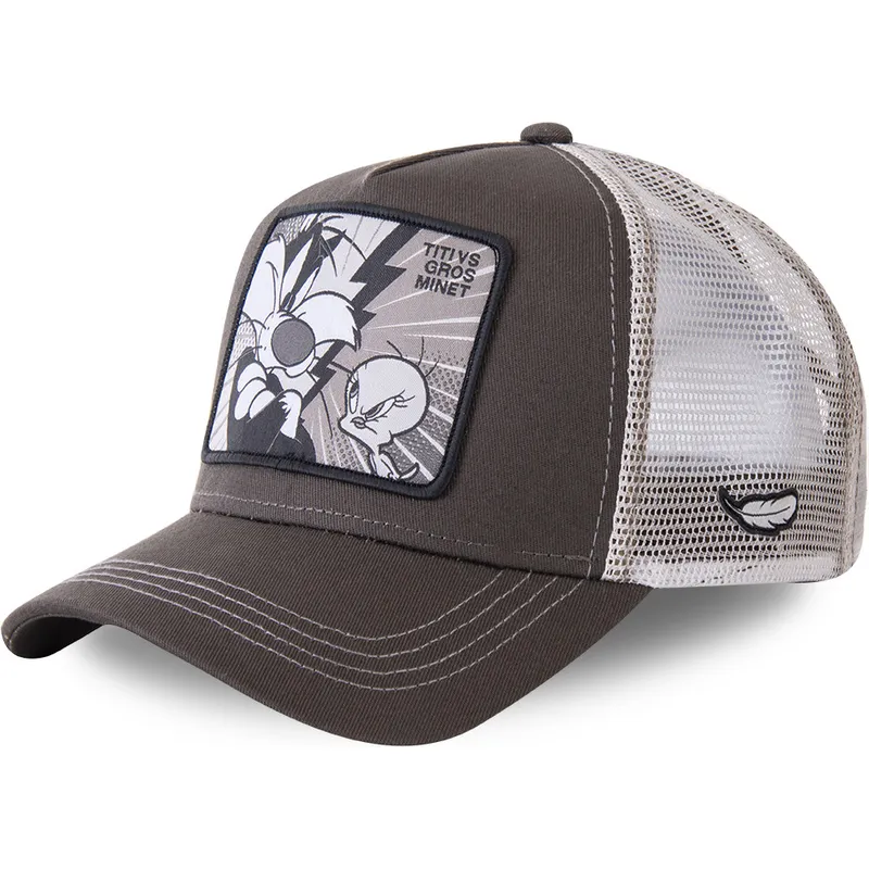 mutzen-gebogen-grau-snapback-sylvester-und-tweety-looney-tunes-von-capslab