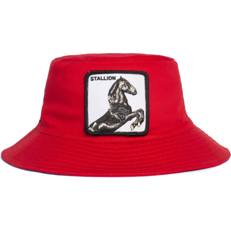 bucket-rot-pferd-stallion-i-m-a-little-hoarse-the-farm-von-goorin-bros