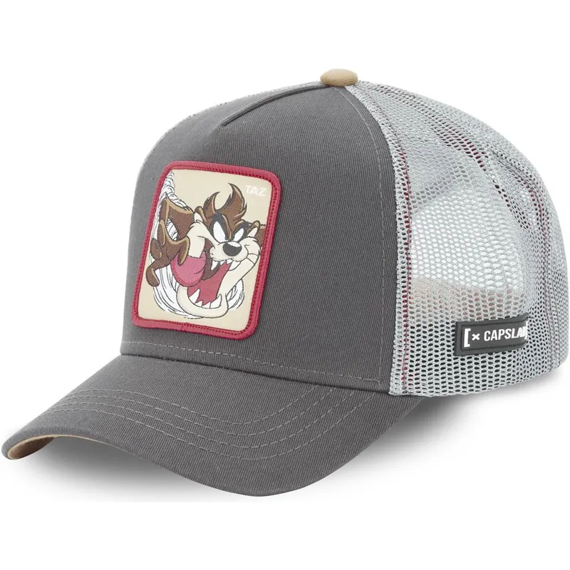 mutzen-gebogen-grau-snapback-diablo-tasmanischer-teufel-looney-tunes-von-capslab mutzen-gebogen-grau-snapback-diablo-tasmanischer-teufel-looney-tunes-von-capslab