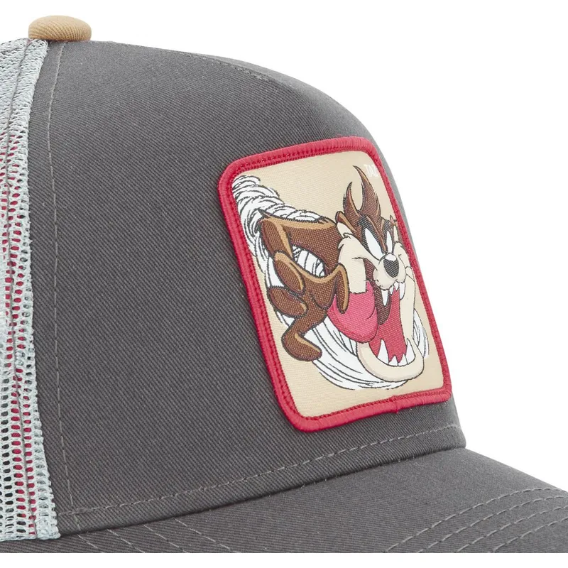 mutzen-gebogen-grau-snapback-diablo-tasmanischer-teufel-looney-tunes-von-capslab mutzen-gebogen-grau-snapback-diablo-tasmanischer-teufel-looney-tunes-von-capslab