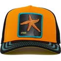 casquette-trucker-orange-et-noire-etoile-de-mer-baby-i-m-a-star-the-farm-goorin-bros