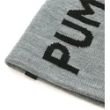 gorro-grigio-essential-classic-di-puma