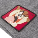 gorro-grigio-diavolo-della-tasmania-bon-taz2-looney-tunes-di-capslab
