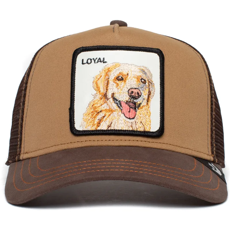 goorin-bros-the-farm-the-loyal-dog-brun-labrador-retriever-hund-trucker-kasket