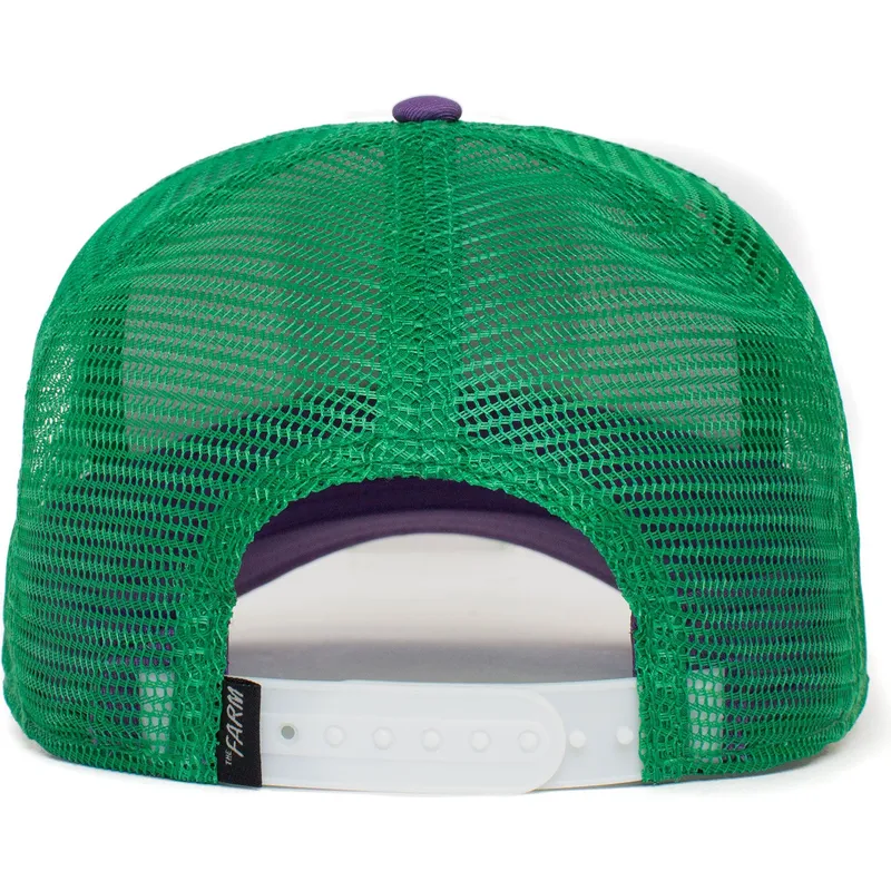 cappelli-curva-multicolore-snapback-the-farm-di-goorin-bros