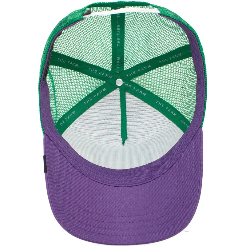 cappelli-curva-multicolore-snapback-the-farm-di-goorin-bros