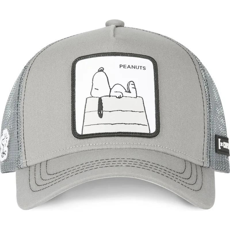 mutzen-gebogen-grau-snapback-snoopy-erdnusse-von-capslab mutzen-gebogen-grau-snapback-snoopy-erdnusse-von-capslab