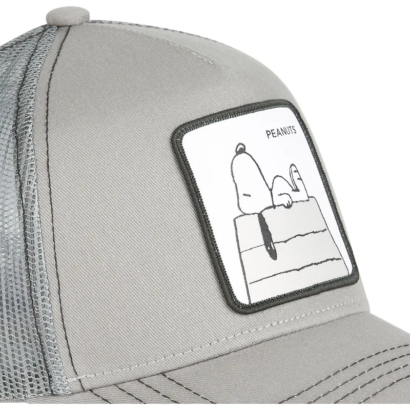 mutzen-gebogen-grau-snapback-snoopy-erdnusse-von-capslab mutzen-gebogen-grau-snapback-snoopy-erdnusse-von-capslab