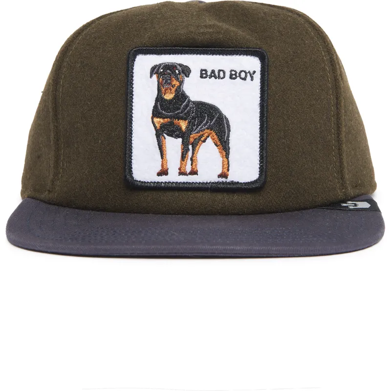 zielono-niebieska-czapka-snapback-z-rottweilerem-bad-boy-top-dog-the-farm-flats-od-goorin-bros