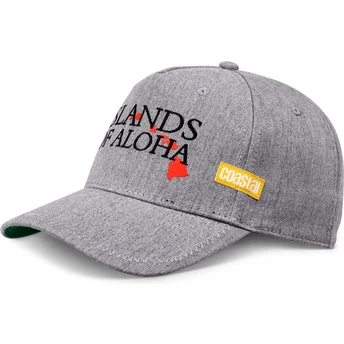 Gorra curva gris ajustable Islands Of Aloha de Coastal