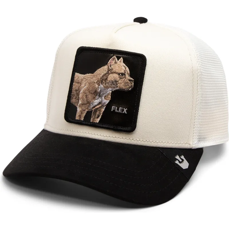cappelli-curva-beige-snapback-the-farm-di-goorin-bros