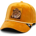 gorra-curva-gialla-snapback-leone-lion-royalty-the-farm-di-goorin-bros