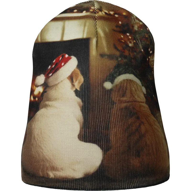 flerfargad-mossa-holiday-rev-buddy-black-fran-kangol