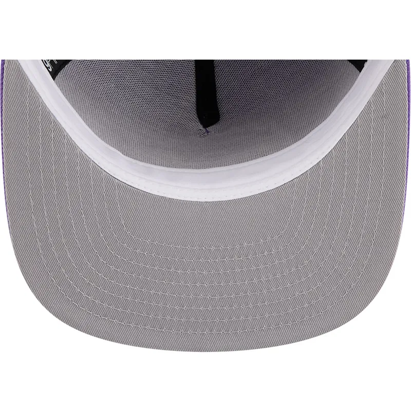 violett-platt-snapbackkeps-9fifty-a-frame-hardwood-classics-toronto-raptors-nba-fran-new-era