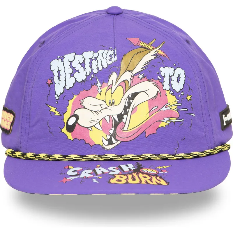 cappello-piatto-viola-snapback-coyote-loo13-dtcb-looney-tunes-di-capslab
