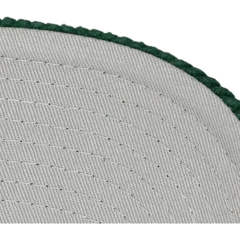 cappellino-visiera-curva-verde-snapback-arch-stamp-pro-di-anaheim-ducks-nhl-di-mitchell-ness