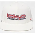platt-keps-kram-snapback-tkysky-skylines-the-snap-fran-homenage