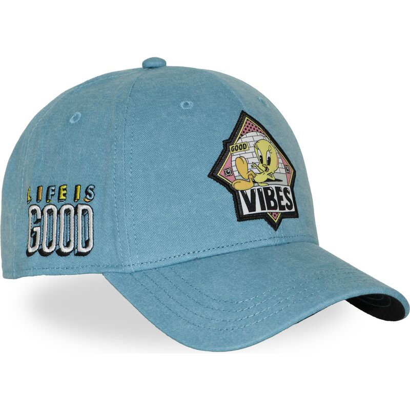 cappellino-curvo-blu-snapback-titti-loo13-pcblifb-looney-tunes-di-capslab cappellino-curvo-blu-snapback-titti-loo13-pcblifb-looney-tunes-di-capslab