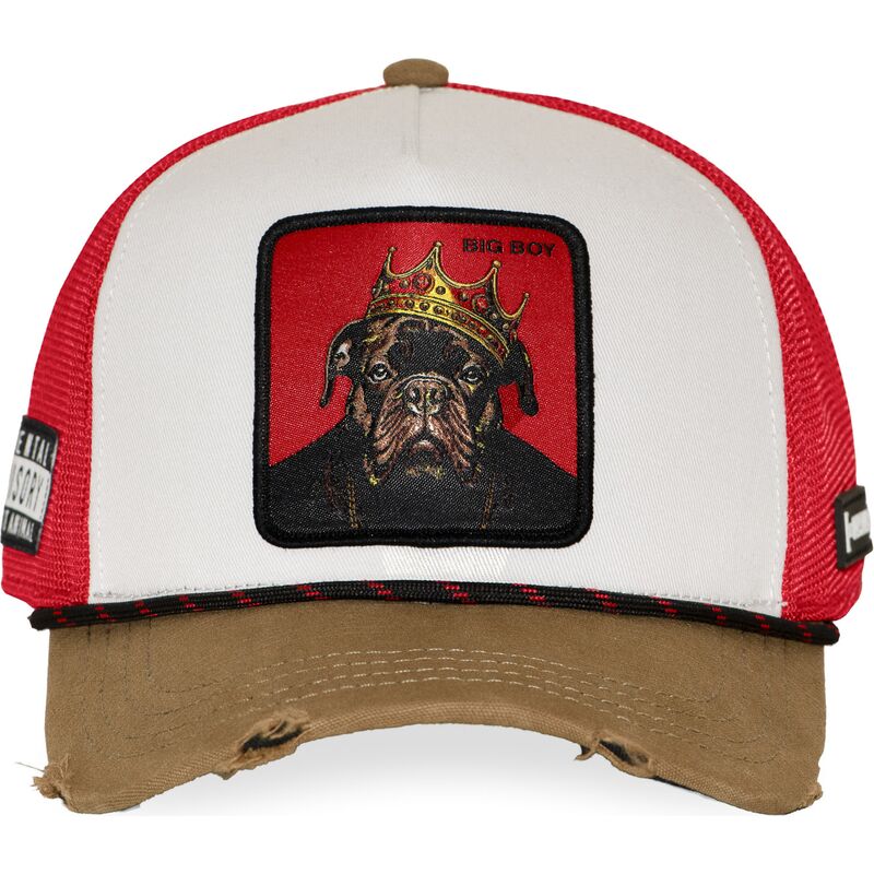 mehrfarbige-trucker-kappe-big-boy-hip-bigb-hip-hop-dogz-von-capslab mehrfarbige-trucker-kappe-big-boy-hip-bigb-hip-hop-dogz-von-capslab