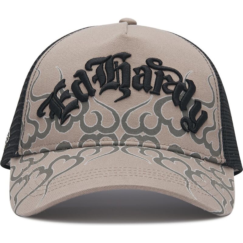 cappello-curvo-grigio-snapback-flaming-di-ed-hardy
