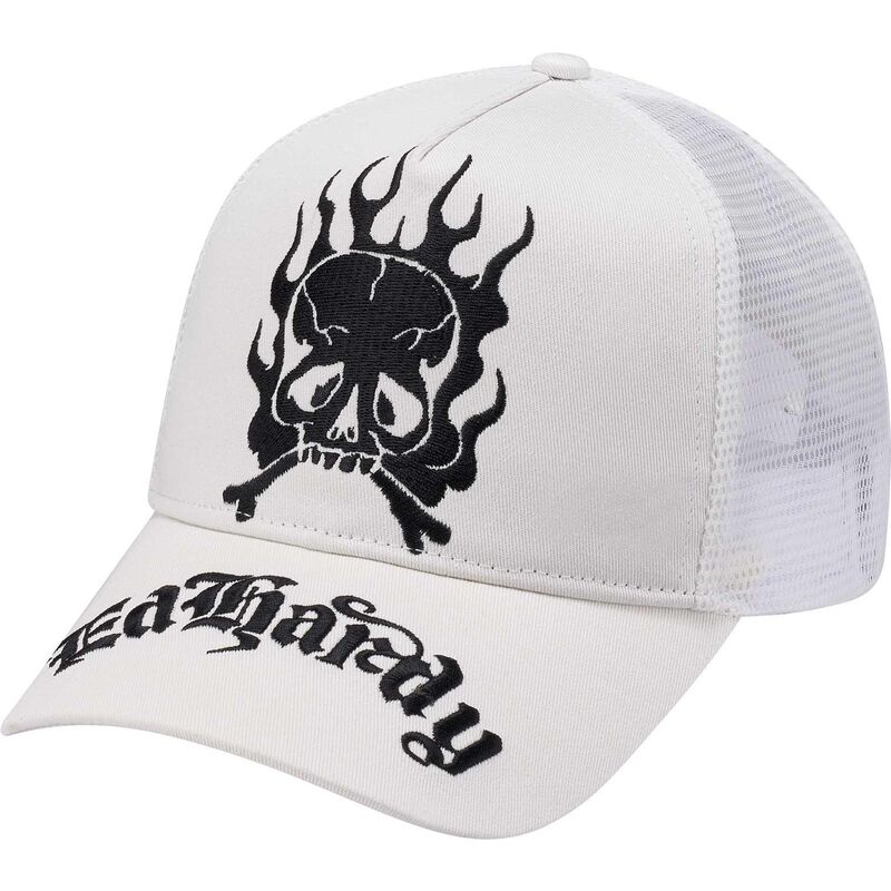 mutzen-gebogen-weiss-snapback-gothic-skull-in-flames-von-ed-hardy