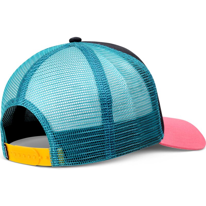 cappello-curvo-multicolore-snapback-hft-dnc-flamingo-di-djinns