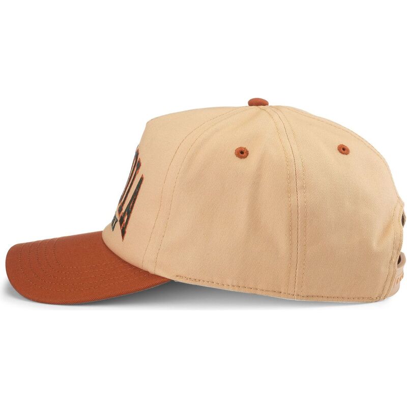 cappello-curvo-marrone-snapback-roscoe-dei-sequoia-national-park-di-american-needle