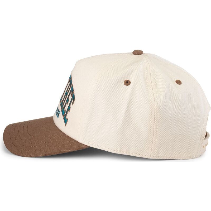 cappello-curvo-marrone-snapback-roscoe-dei-joshua-tree-national-park-di-american-needle