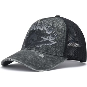 Cappello curvo grigio snapback Flaming Gothic Skull Washed di Ed Hardy