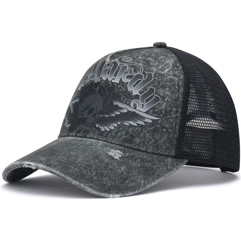cappello-curvo-grigio-snapback-flaming-gothic-skull-washed-di-ed-hardy