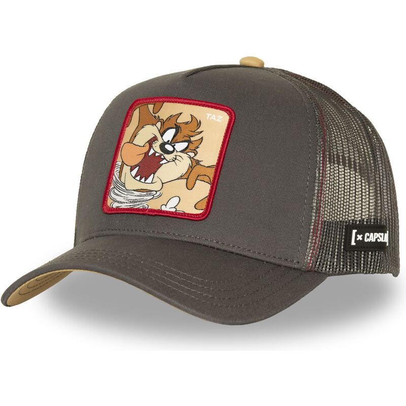 cappello-curvo-marrone-snapback-diavolo-della-tasmania-looney-tunes-di-capslab